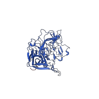 26391_7u95_a_v1-2
SAAV pH 6.0 capsid structure