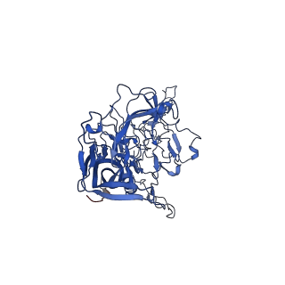 26391_7u95_a_v1-3
SAAV pH 6.0 capsid structure