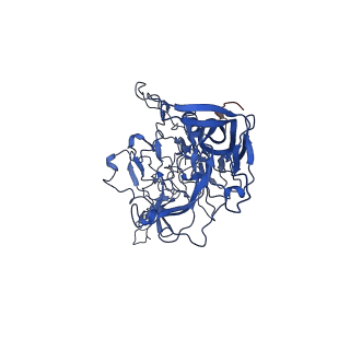 26391_7u95_d_v1-2
SAAV pH 6.0 capsid structure