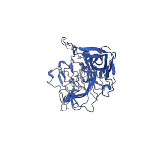 26391_7u95_d_v1-3
SAAV pH 6.0 capsid structure