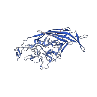 26391_7u95_f_v1-3
SAAV pH 6.0 capsid structure