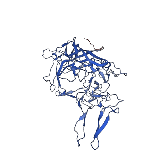 26391_7u95_g_v1-3
SAAV pH 6.0 capsid structure