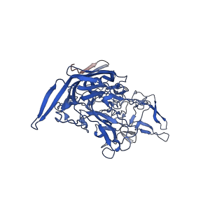 26391_7u95_h_v1-3
SAAV pH 6.0 capsid structure