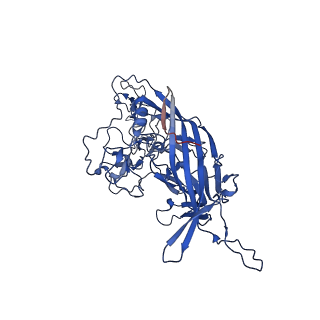 26391_7u95_i_v1-3
SAAV pH 6.0 capsid structure