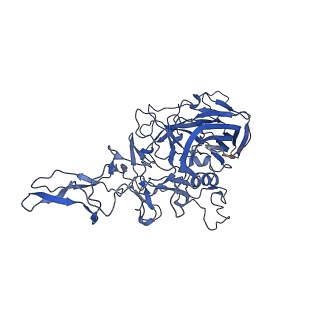 26391_7u95_k_v1-2
SAAV pH 6.0 capsid structure