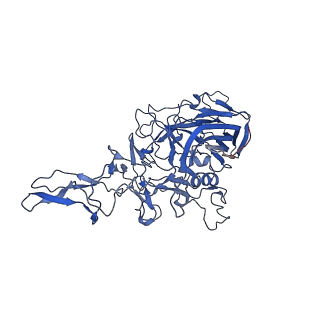 26391_7u95_k_v1-3
SAAV pH 6.0 capsid structure