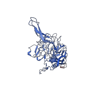26391_7u95_n_v1-2
SAAV pH 6.0 capsid structure