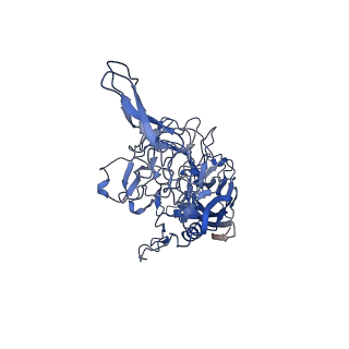 26391_7u95_n_v1-3
SAAV pH 6.0 capsid structure