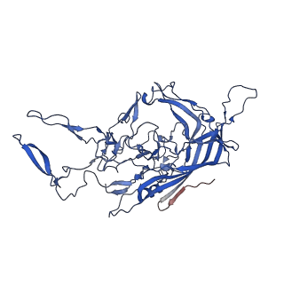 26391_7u95_q_v1-3
SAAV pH 6.0 capsid structure