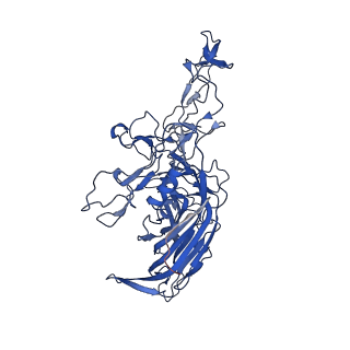 26391_7u95_r_v1-3
SAAV pH 6.0 capsid structure