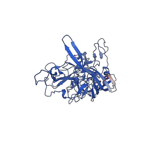 26391_7u95_s_v1-3
SAAV pH 6.0 capsid structure