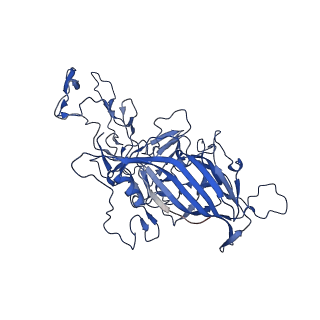 26391_7u95_w_v1-3
SAAV pH 6.0 capsid structure