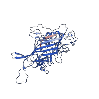 26391_7u95_x_v1-3
SAAV pH 6.0 capsid structure