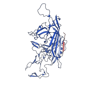 26391_7u95_y_v1-3
SAAV pH 6.0 capsid structure