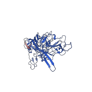 26391_7u95_z_v1-3
SAAV pH 6.0 capsid structure