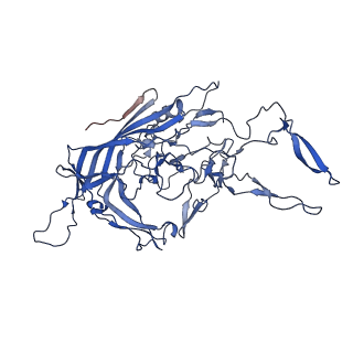 26393_7u97_1_v1-3
SAAV pH 4.0 capsid structure