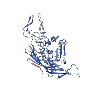 26393_7u97_5_v1-3
SAAV pH 4.0 capsid structure