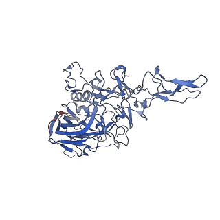 26393_7u97_6_v1-3
SAAV pH 4.0 capsid structure