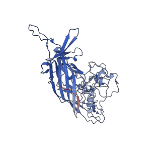 26393_7u97_7_v1-3
SAAV pH 4.0 capsid structure