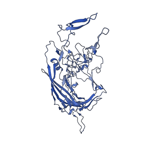 26393_7u97_8_v1-3
SAAV pH 4.0 capsid structure