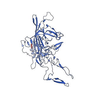 26393_7u97_A_v1-3
SAAV pH 4.0 capsid structure