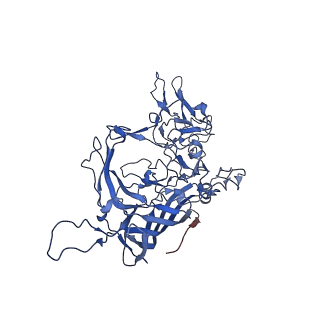 26393_7u97_C_v1-3
SAAV pH 4.0 capsid structure