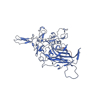 26393_7u97_D_v1-3
SAAV pH 4.0 capsid structure