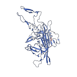 26393_7u97_F_v1-3
SAAV pH 4.0 capsid structure