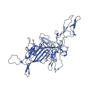 26393_7u97_G_v1-3
SAAV pH 4.0 capsid structure