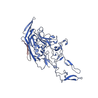 26393_7u97_K_v1-3
SAAV pH 4.0 capsid structure