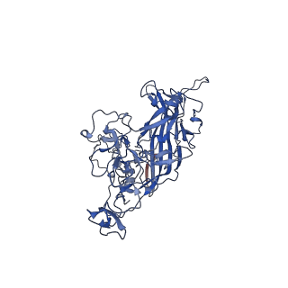 26393_7u97_N_v1-2
SAAV pH 4.0 capsid structure