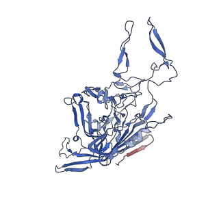 26393_7u97_P_v1-3
SAAV pH 4.0 capsid structure