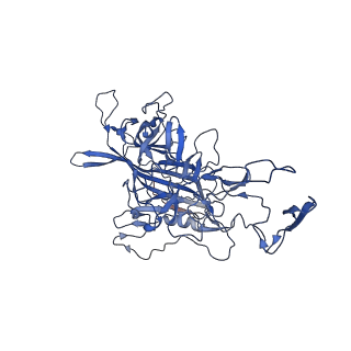 26393_7u97_Q_v1-3
SAAV pH 4.0 capsid structure