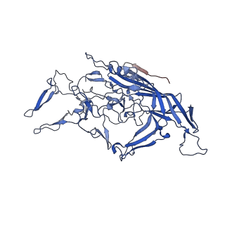 26393_7u97_R_v1-3
SAAV pH 4.0 capsid structure