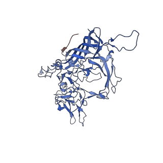 26393_7u97_V_v1-2
SAAV pH 4.0 capsid structure