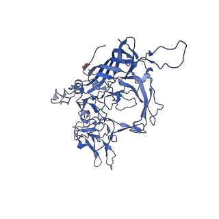 26393_7u97_V_v1-3
SAAV pH 4.0 capsid structure