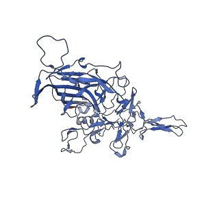 26393_7u97_W_v1-3
SAAV pH 4.0 capsid structure