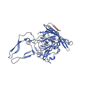 26393_7u97_X_v1-3
SAAV pH 4.0 capsid structure