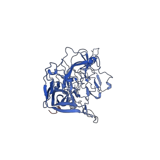 26393_7u97_a_v1-2
SAAV pH 4.0 capsid structure