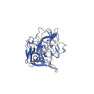 26393_7u97_a_v1-3
SAAV pH 4.0 capsid structure