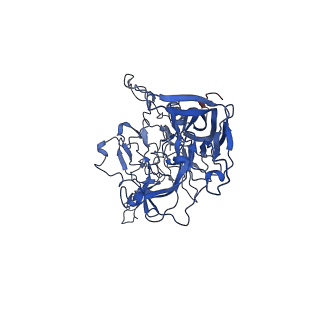 26393_7u97_d_v1-2
SAAV pH 4.0 capsid structure