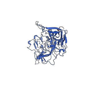 26393_7u97_d_v1-3
SAAV pH 4.0 capsid structure