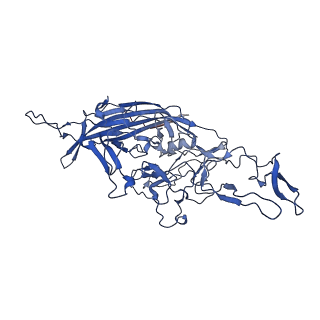 26393_7u97_e_v1-3
SAAV pH 4.0 capsid structure