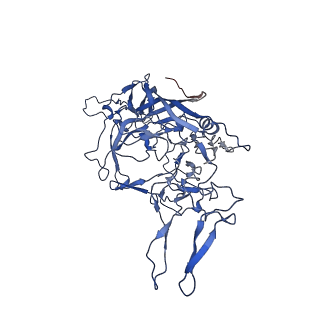 26393_7u97_g_v1-3
SAAV pH 4.0 capsid structure