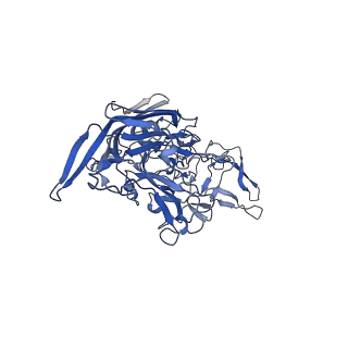 26393_7u97_h_v1-3
SAAV pH 4.0 capsid structure