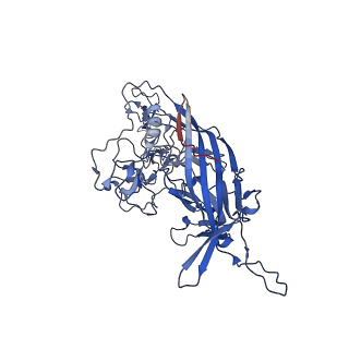 26393_7u97_i_v1-3
SAAV pH 4.0 capsid structure