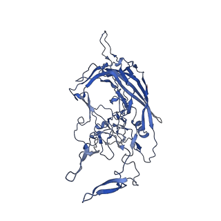 26393_7u97_l_v1-3
SAAV pH 4.0 capsid structure