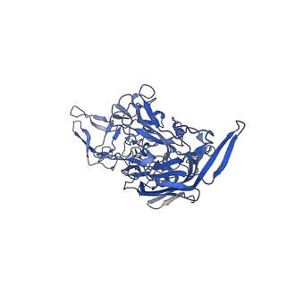 26393_7u97_o_v1-3
SAAV pH 4.0 capsid structure