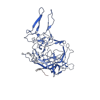 26393_7u97_p_v1-3
SAAV pH 4.0 capsid structure