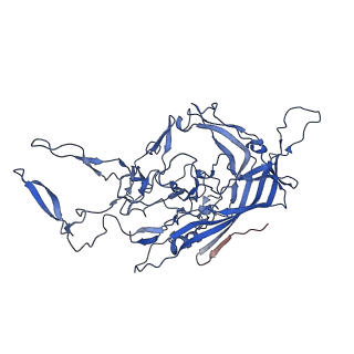 26393_7u97_q_v1-3
SAAV pH 4.0 capsid structure